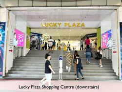 Lucky Plaza (D9), Apartment #580003331